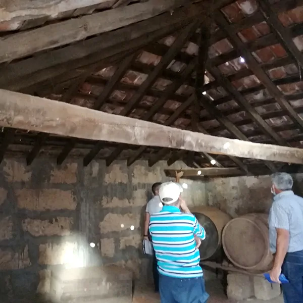 especialista en rehabilitacion-mirando techo antiguo de madera